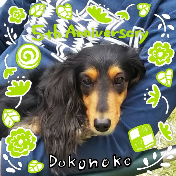 25d97cf7 65f8 45fb b095 5e4b545fcffc 1622891432029