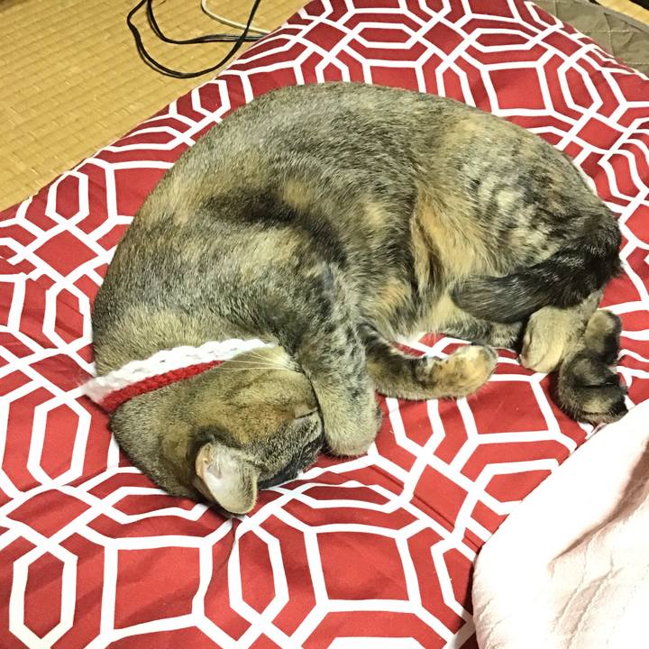 25d98f69 cf12 4759 aace ac9708a1aed2 1609673194321