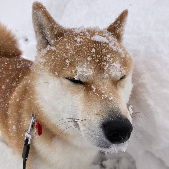 25d991b3 c411 42cb 8e89 75d63138bbe6 1645434363632