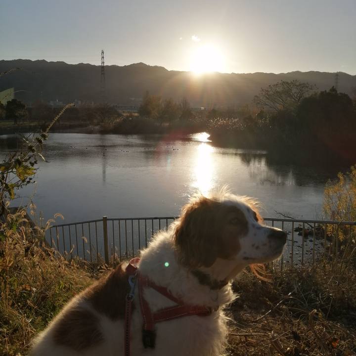 25d9941e 5041 44d0 a17c d1be0054b4e1 1609481840731