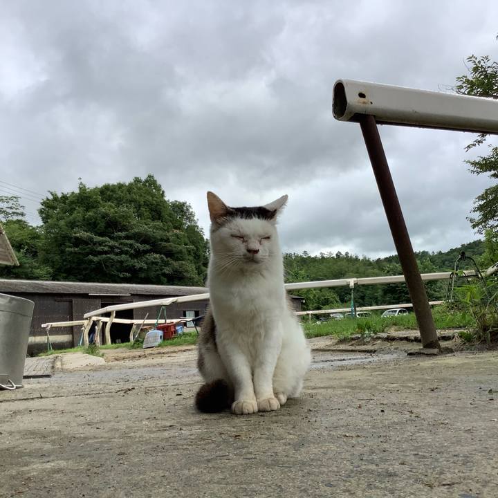 25d9fe75 dbfa 45c1 bc4f d687291ace7a 1594530938854