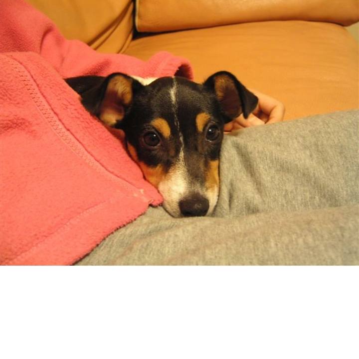 25da4391 7e1d 4090 b85d 664047771361 1575267933980