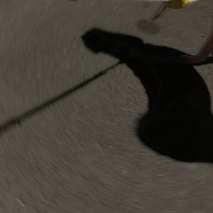 25da50cd 4096 4d36 bf3e 6bff8602cdab 1550677973880