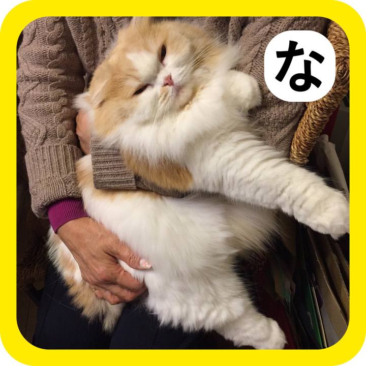 25da53e9 7fd9 48a8 8949 b88c70177081 1515416201446