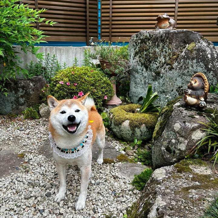 25da94fb 5d31 4e00 a74d 9fc35a919a3b 1716717140929