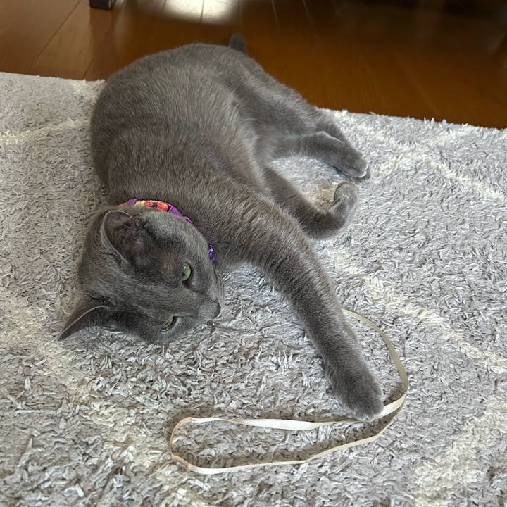 25dab319 bb2b 4ba2 9947 1c86127a474d 1759023544818