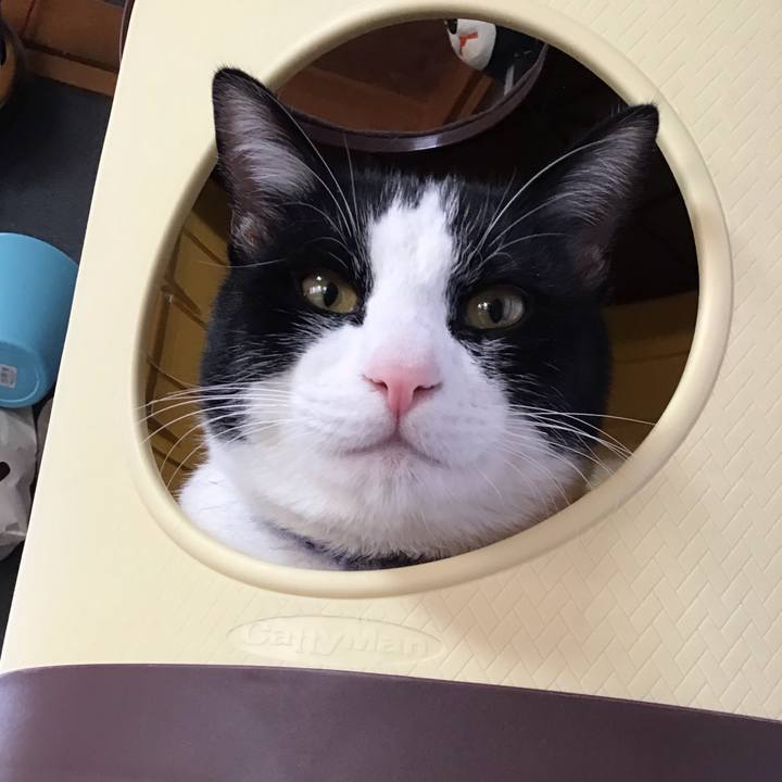 25dad278 4866 4d7b b815 4a13ceca41ac 1644361621469