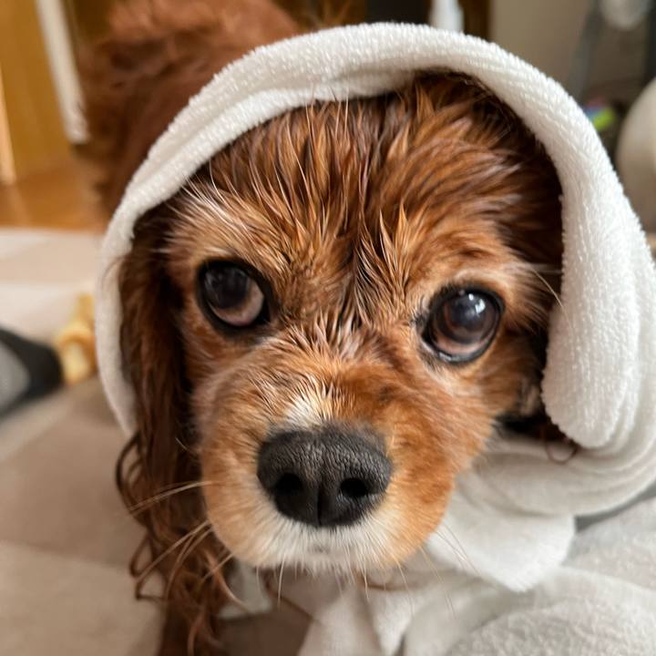 25dafe72 7f1c 4379 aeec 050cedf25e40 1737766440999