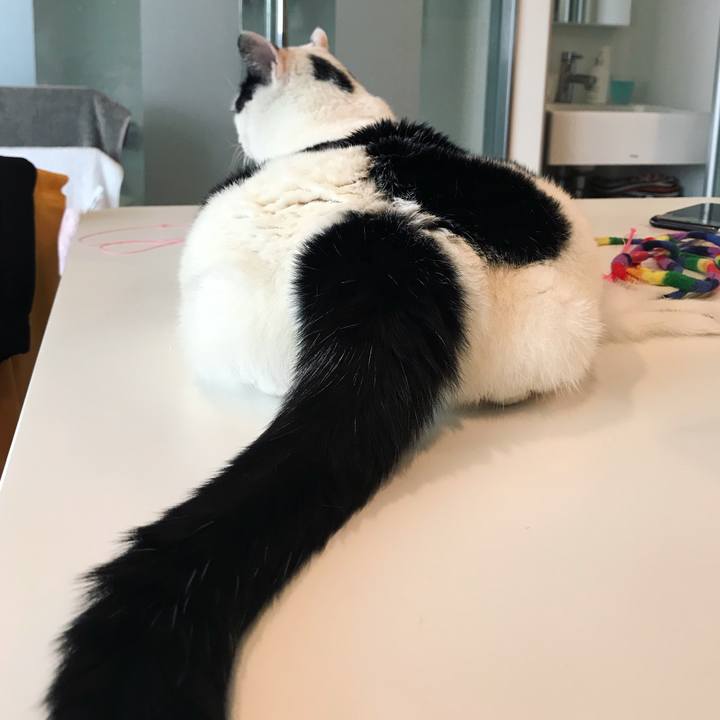 25db107f f407 4ff5 889f 792d1386ea39 1527378100420