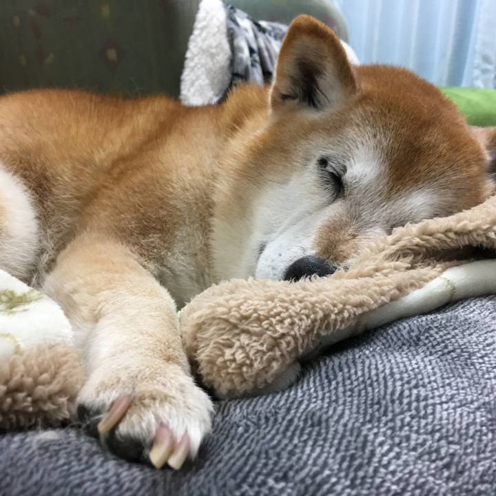 25db2776 0a4f 4752 9360 9beb0c15af55 1522588872328