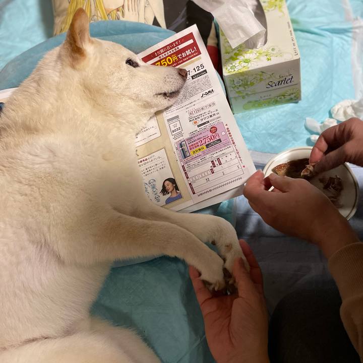 25db2867 4680 475d 8036 3de1755e3265 1650463845292