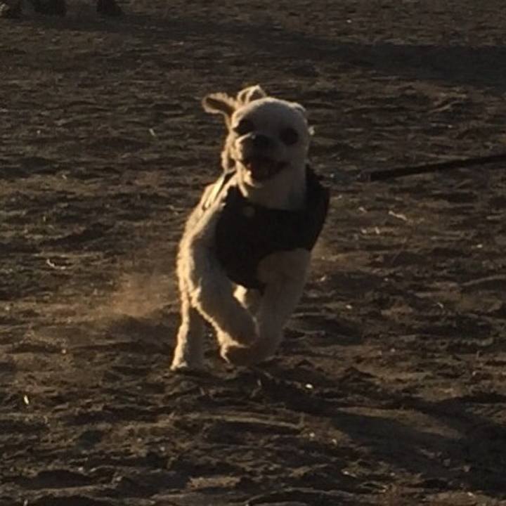 25db4a71 018e 438c a831 2913d85e1727 1544267442324