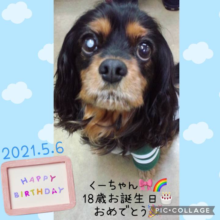 25db8bc7 cb97 40c3 b4f2 a279beba842d 1620259095754