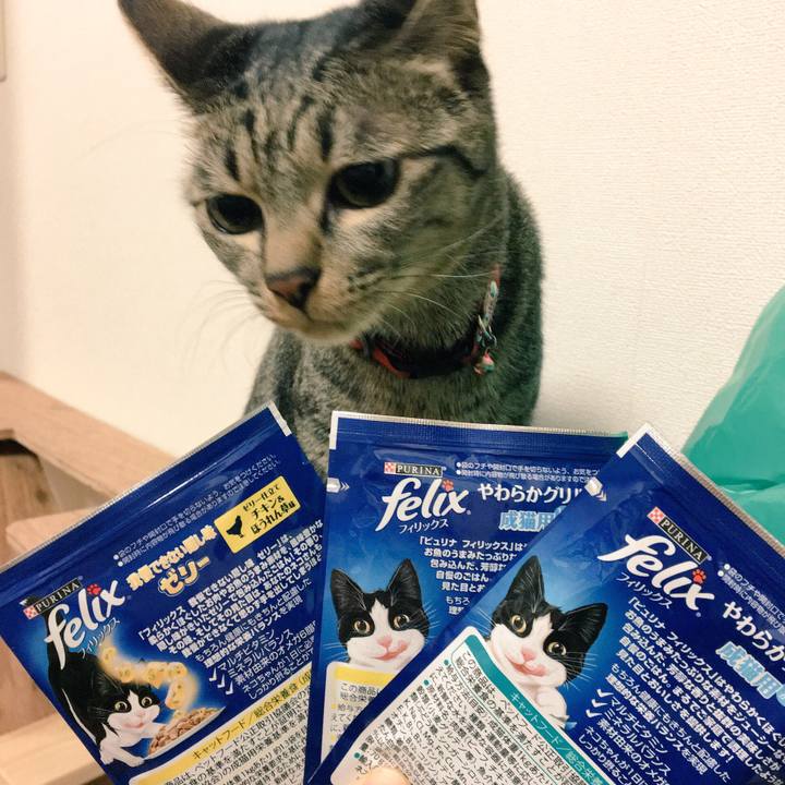 25db9092 fa53 4756 a743 4d0fa074fc6a 1511231325139