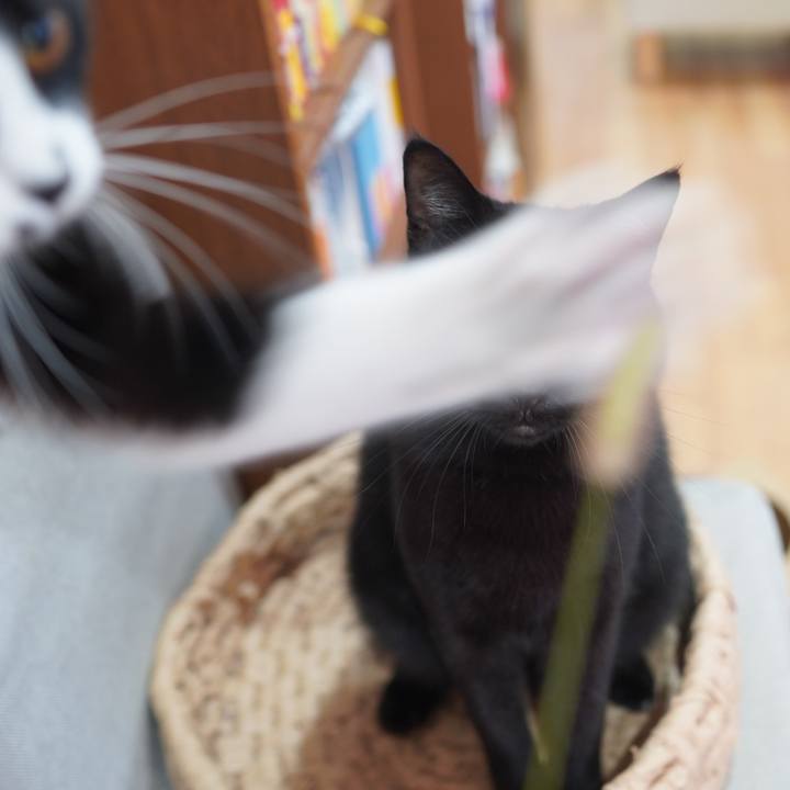 25dba1f0 9def 446a 9161 c1c447e71f82 1601250574979