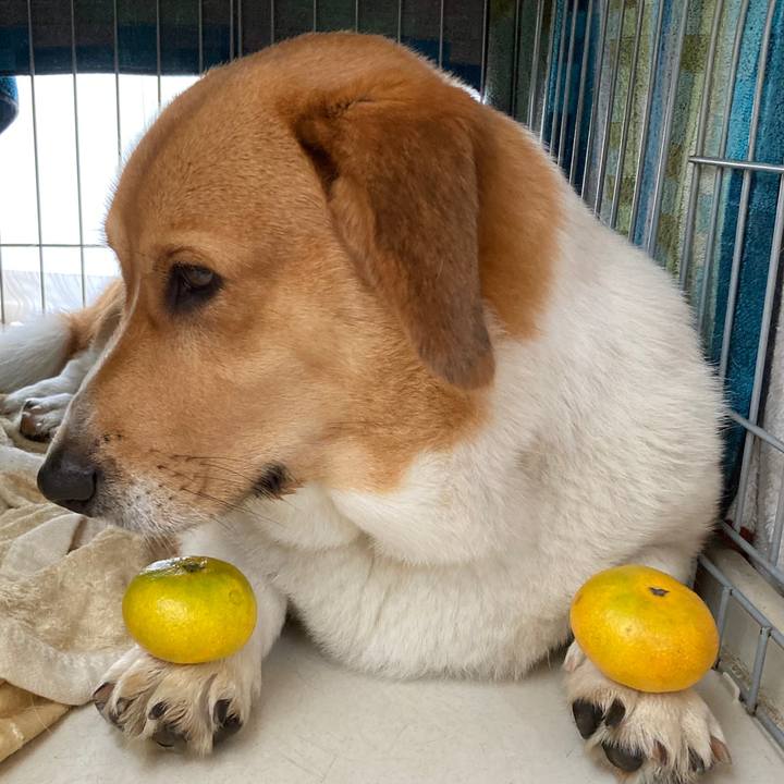 25dc7b22 db1f 4b16 8b17 fc014a3bd55f 1687839699468