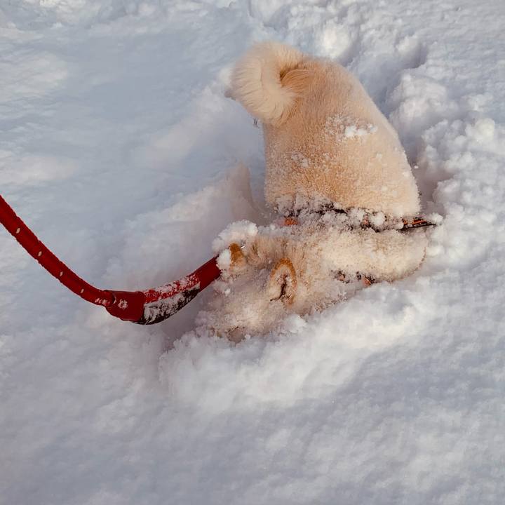 25dc82c6 f731 49a1 932e 59f39d92c4be 1670283419006