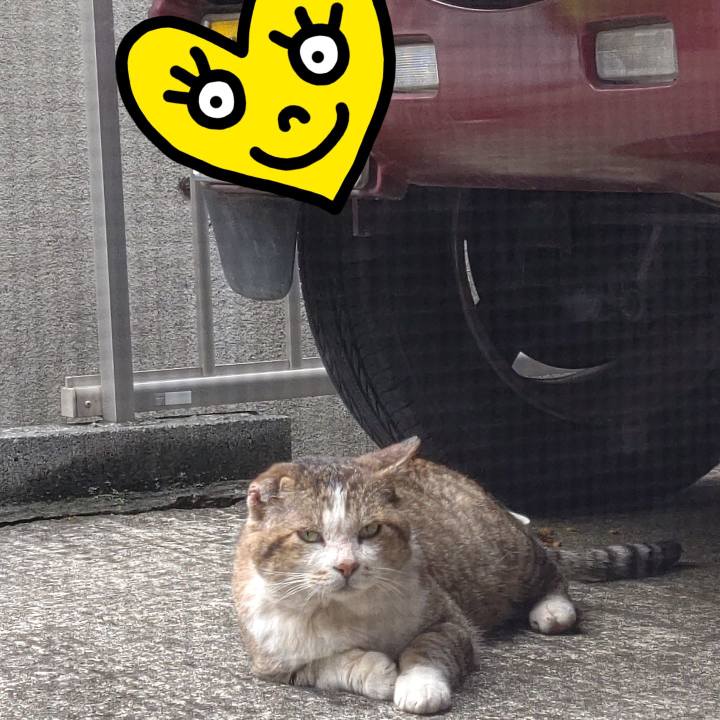 25dcb78a b6be 4788 a842 3fa48039303a 1648357427579