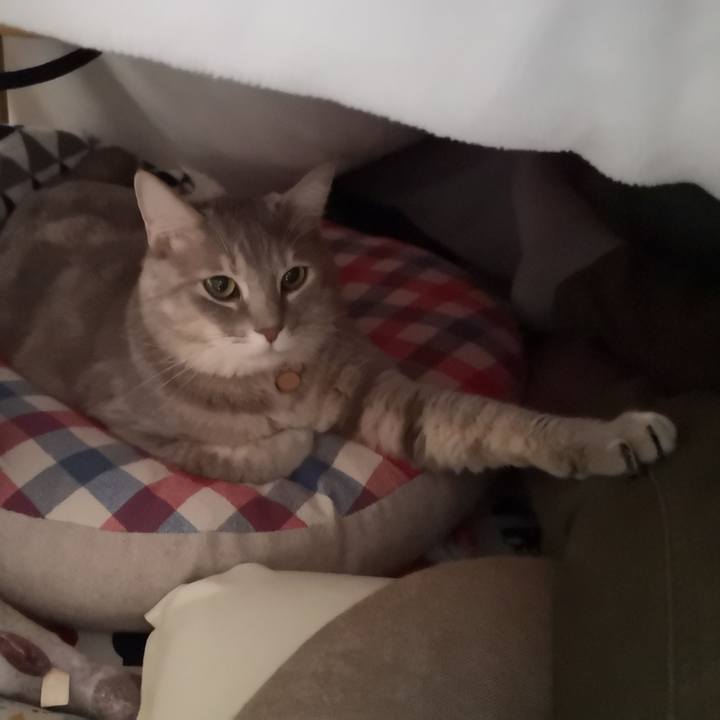 25dccbc1 af96 4018 b1b3 f2523eea77b2 1574238086453