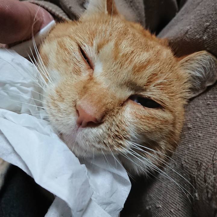 25dcd545 362b 4f27 9d5d fb6a749e0b09 1576613980963