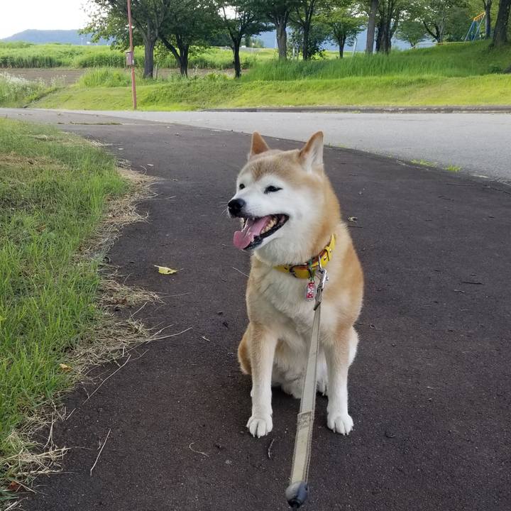 25dce721 3ce3 40fd 931b 54b28db3c791 1690874910845