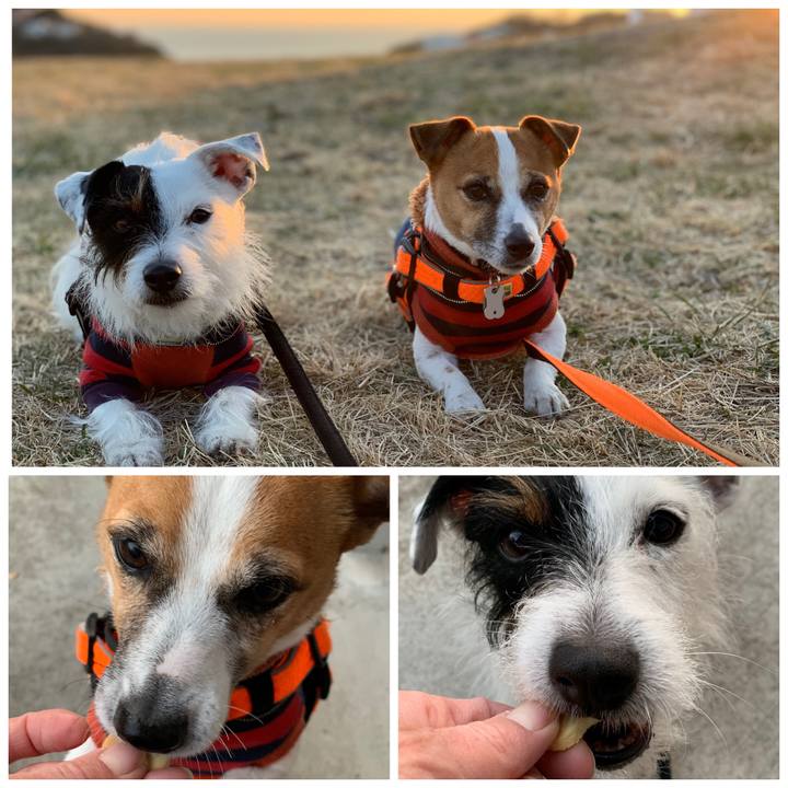 25dcfa54 6316 41de b70b f2b11cd0287d 1548750008463