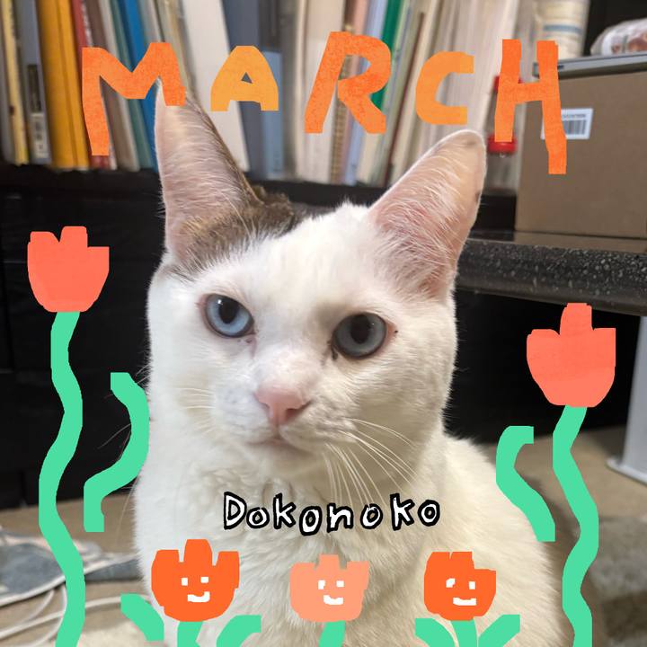 25dcffa0 76e8 4fad 8591 f95d244b2ac5 1741060110462