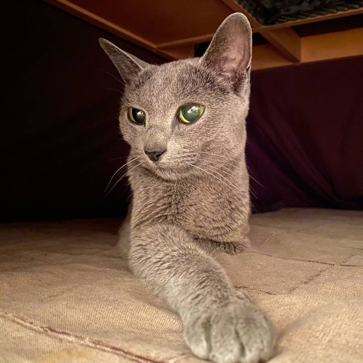 25dd03fb 8f27 4600 8dde 313a911193a6 1579499208415