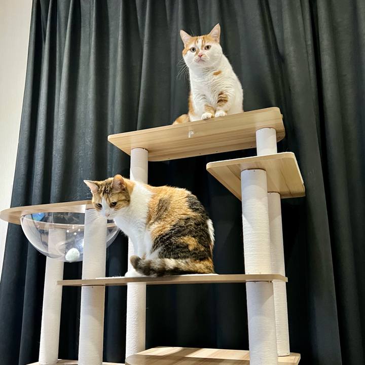 25dd8981 6857 4f77 9892 4caee7b4b910 1764129436861