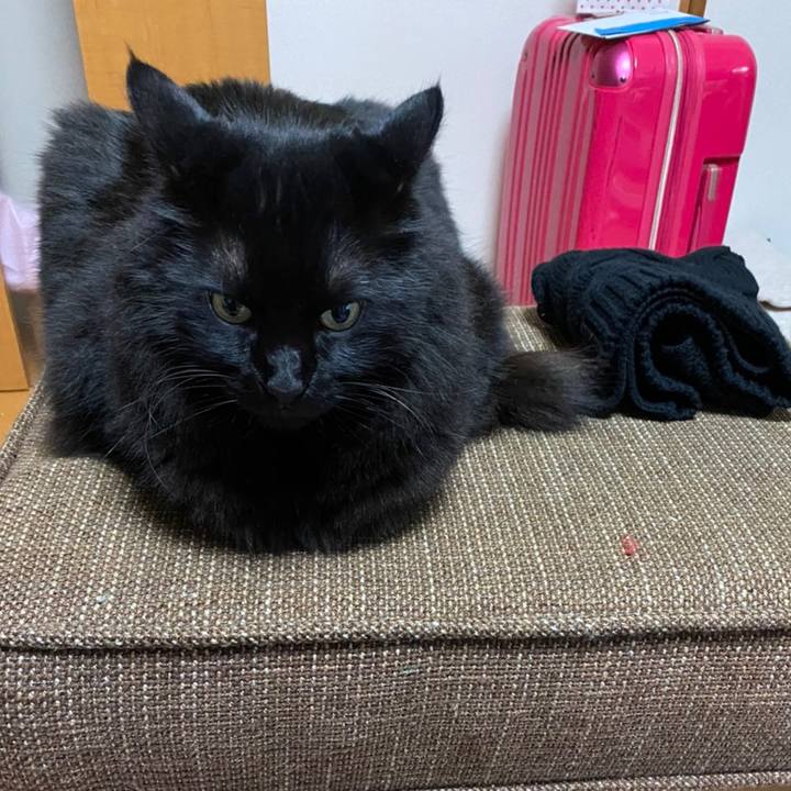 25ddb964 0c81 430a aa6c 905fcabdf8dc 1604827081375