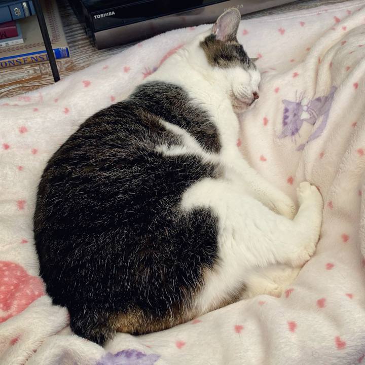 25ddcefa 001e 4402 a1bf beb3630f5561 1640758171093