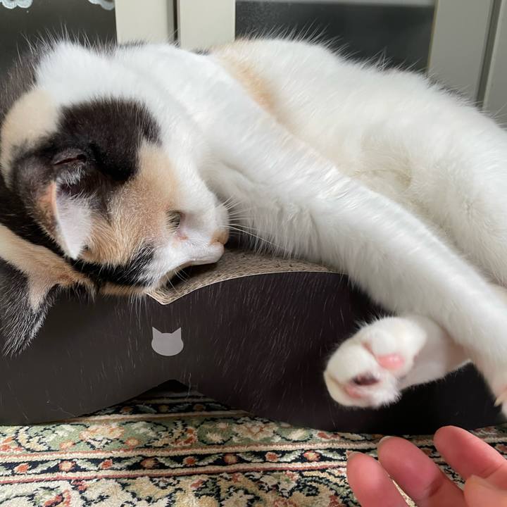 25ddee47 1e9f 4d30 8ac9 af096572818e 1750026064085