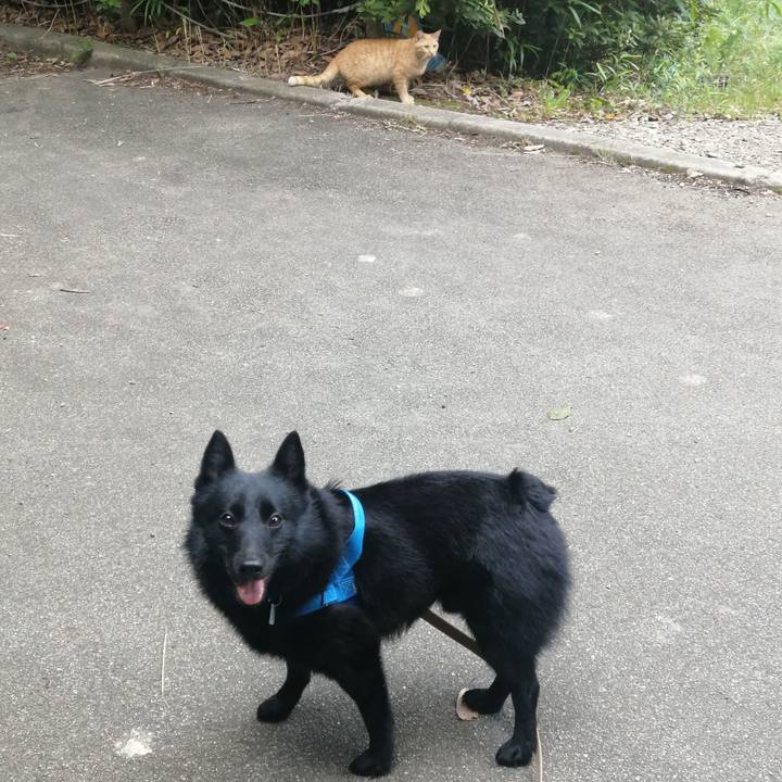 25de3a8e 9dbe 497e 8089 3af3ff0ab31e 1624309543166