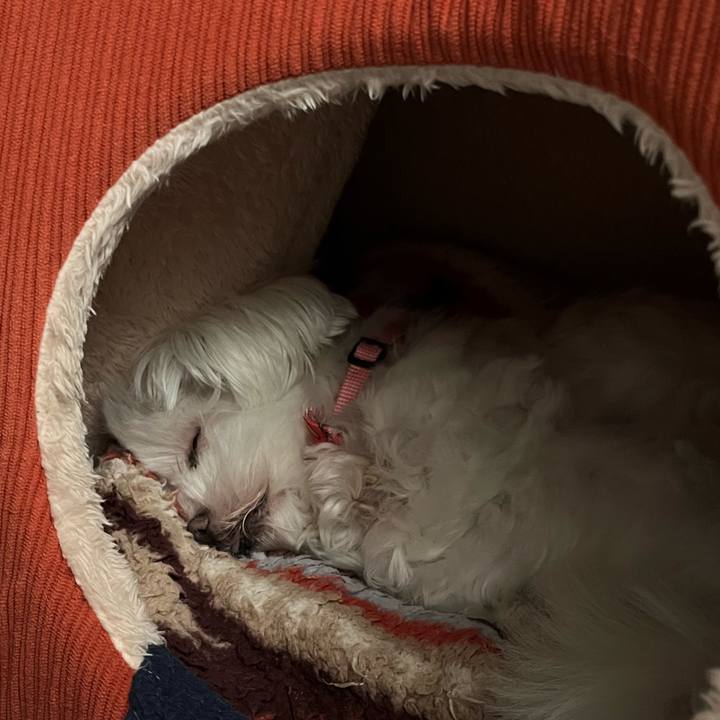 25de8a0b 4096 4807 9864 7a60fee60e0f 1730521134988