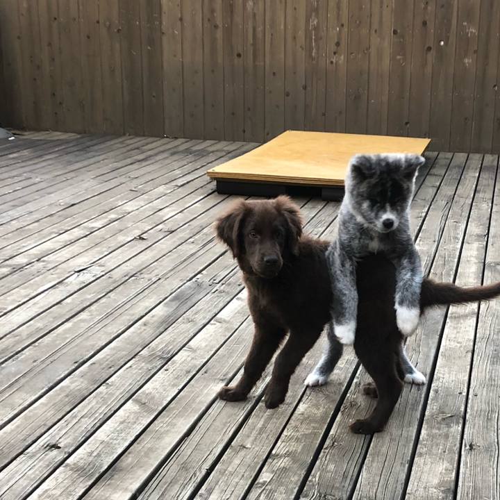 25de8bd4 bcb6 4e1a a58a 3ec95d66cc50 1553085881032