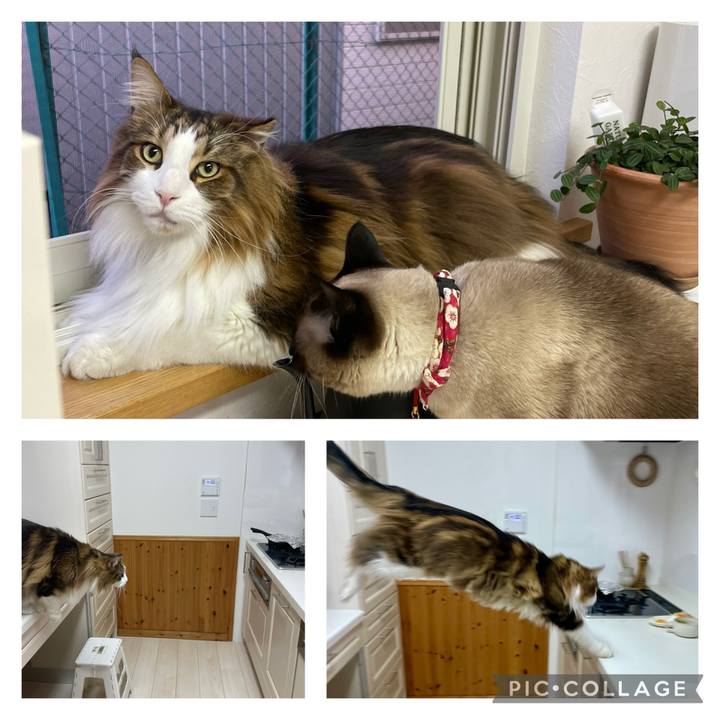 25de9e70 ecba 40b1 8361 e24fc725197e 1741728190307