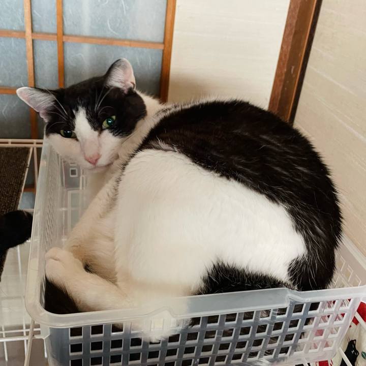 25deb1fc 5026 44b3 b0be efd9ed3d55a1 1661125148139