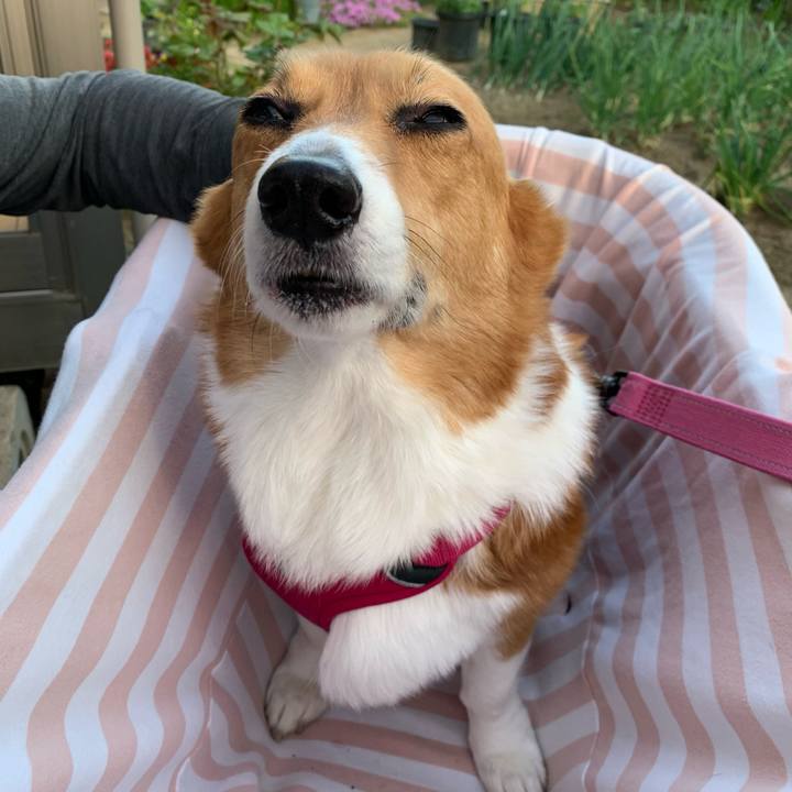 25deb9be e964 4843 993d 404d4e5fc315 1681119554865