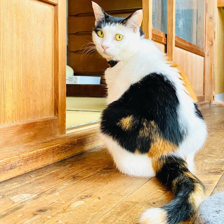 25dec01b 72e5 4fc9 a9f6 d35c5f6e2de6 1689494793347