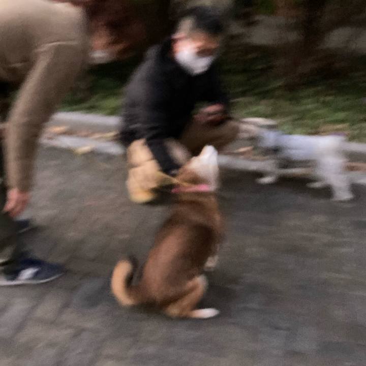 25dececf 49f8 4d4d 9fd1 6c076199f143 1637398538371