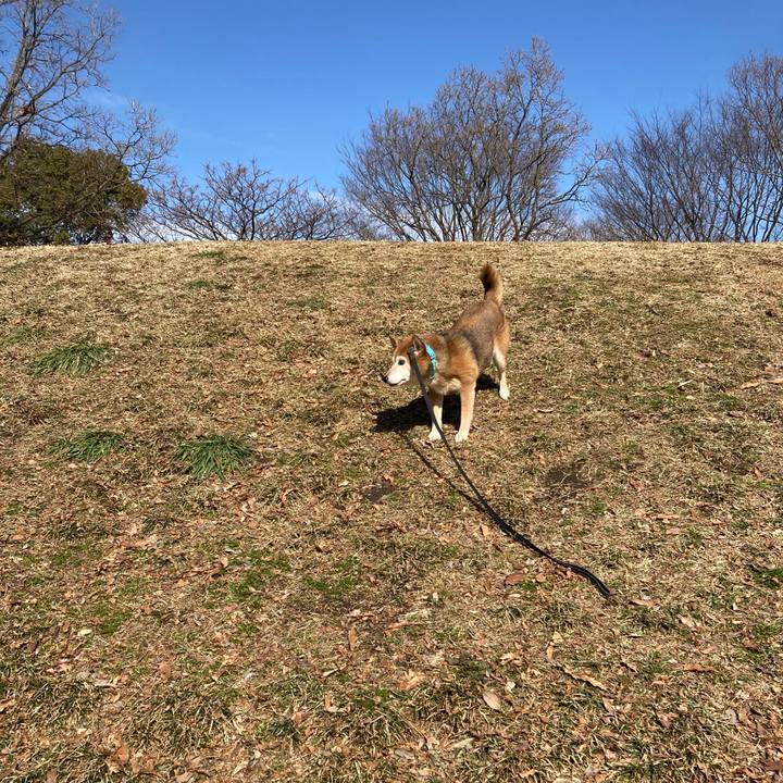 25df35a8 0313 4c22 88fe 398d1a4d3888 1707370254151