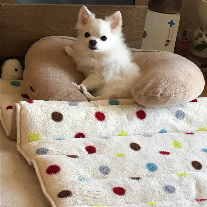 25df5360 bdc2 46ff af22 028fae9066a3 1514423338665