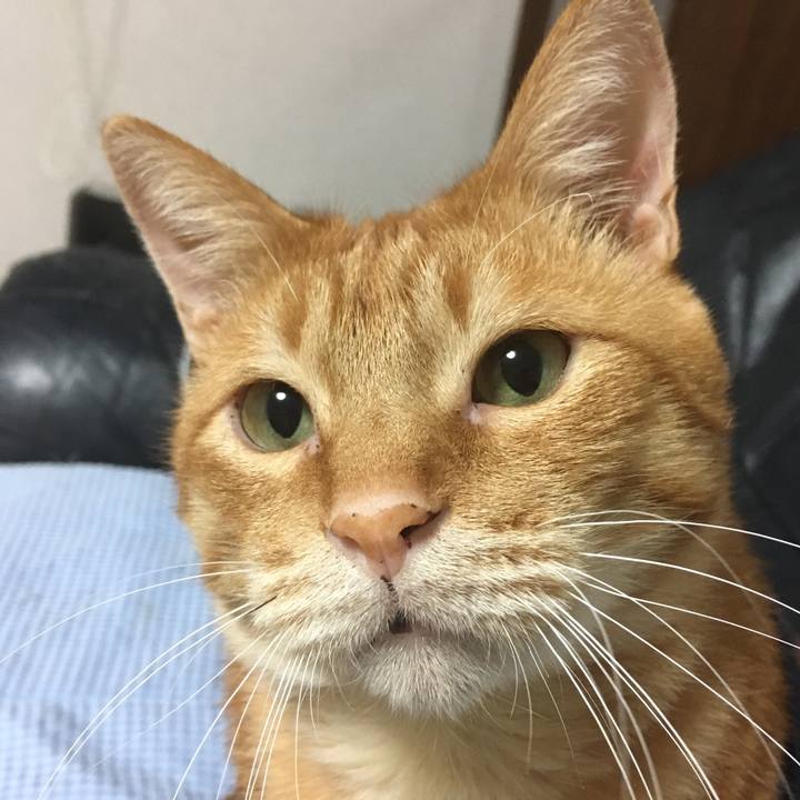 25df581f 5764 4223 9b01 ebba76392ccd 1542018695979