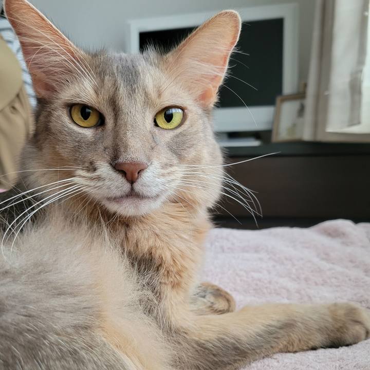 25df8cfc 3fe4 4164 99ee 9daf45e03c0a 1632545286777