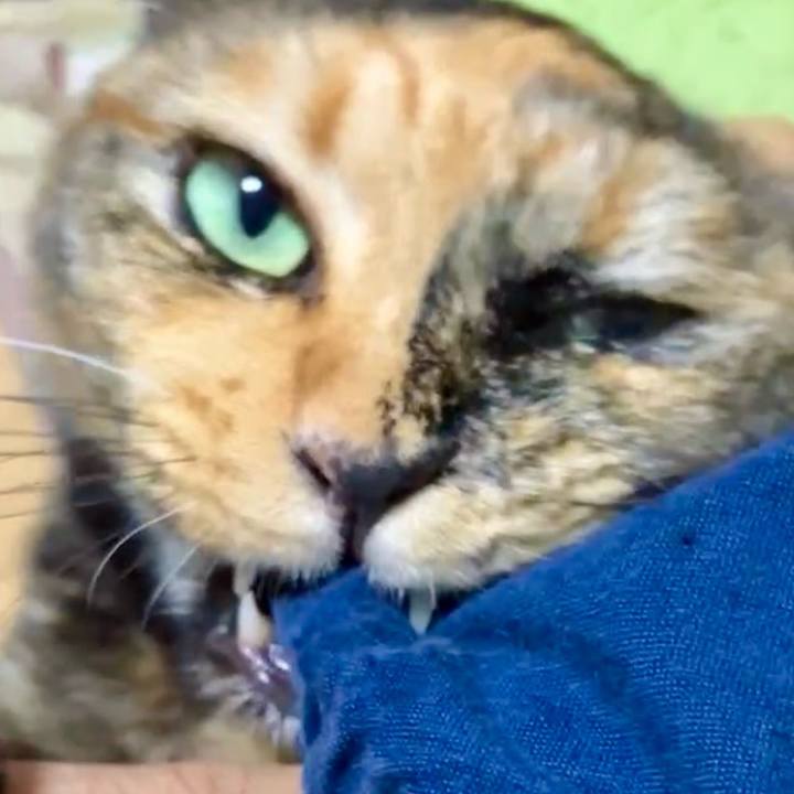 25dfa40b e5bd 4631 84c6 086d7e43ac8e 1728725475575