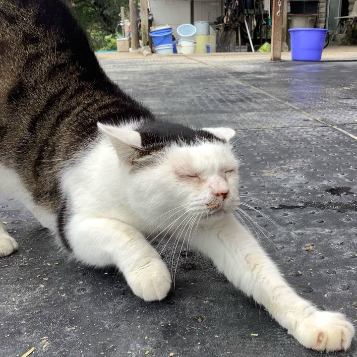 25dfd009 362d 45f0 8076 f843f5096e03 1601780326162