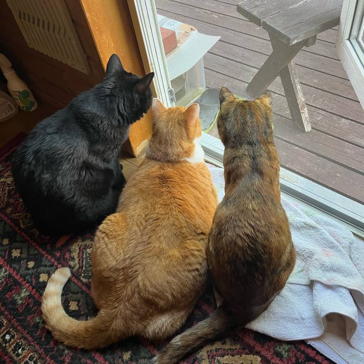 25dff04a 2247 43f7 9295 9c9159a5dbbb 1755327418653