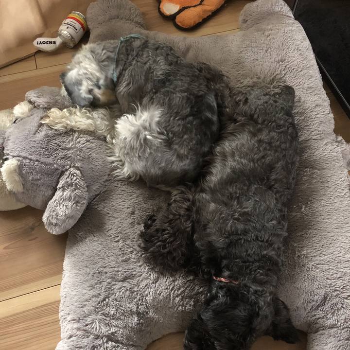 25e02f3d eccf 40b3 88e7 084a0af28023 1567390962645