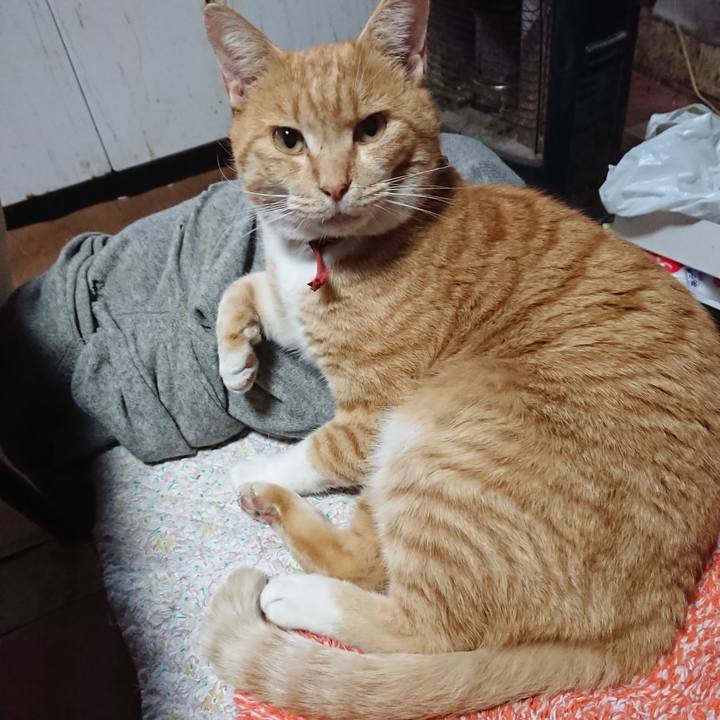 25e04551 3757 4a80 bfe7 1d2acb916724 1573942869492