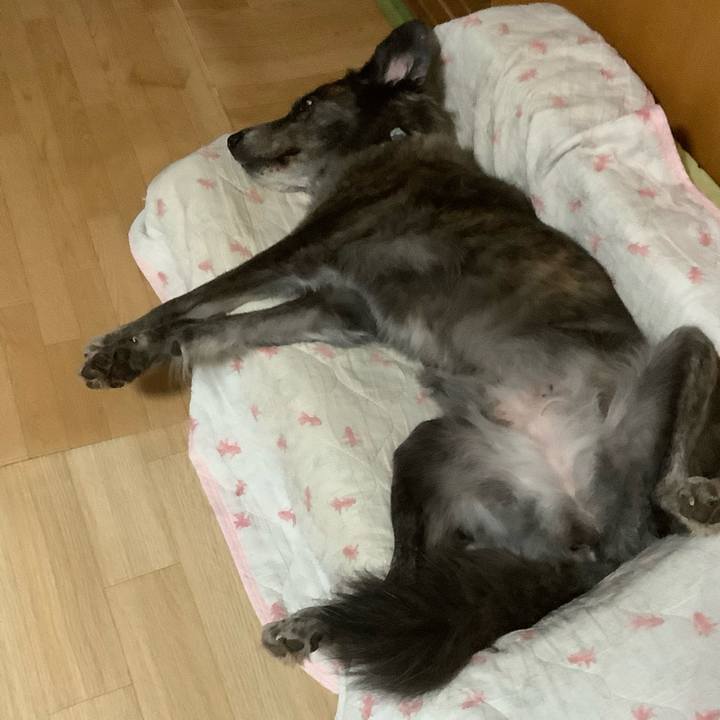 25e0589e 7ecc 4c07 91f7 23cf21a9478d 1724746282758